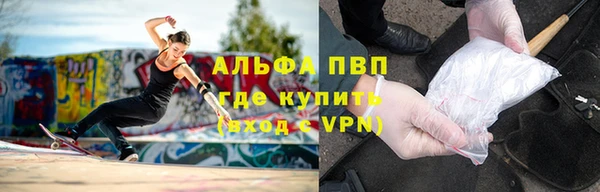 эйфоретик Бородино