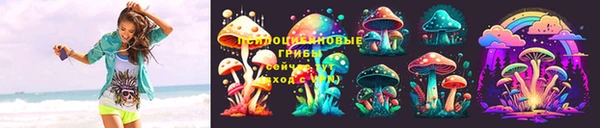 эйфоретик Бородино