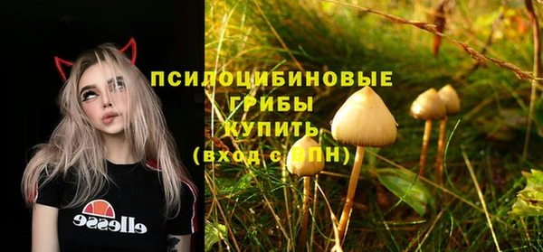 эйфоретик Бородино