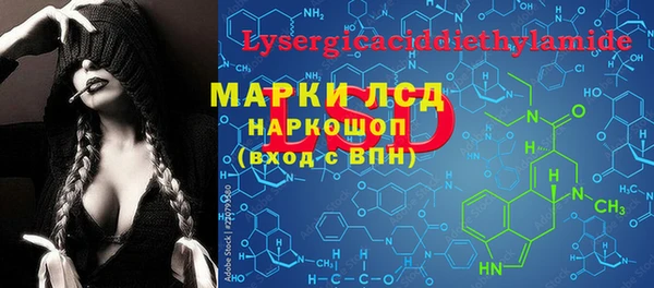 эйфоретик Бородино