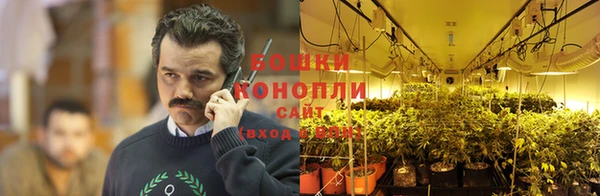 эйфоретик Бородино