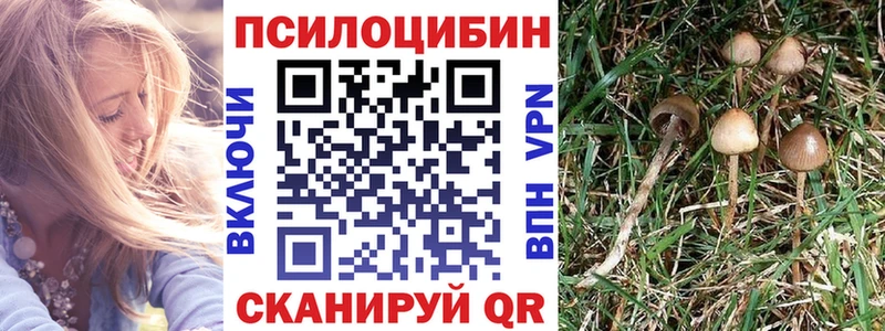 OMG ONION Демидов Псилоцибиновые грибы MAGIC MUSHROOMS
