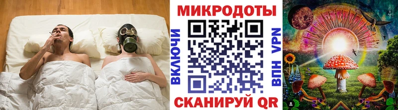 Галлюциногенные грибы Psilocybe Демидов